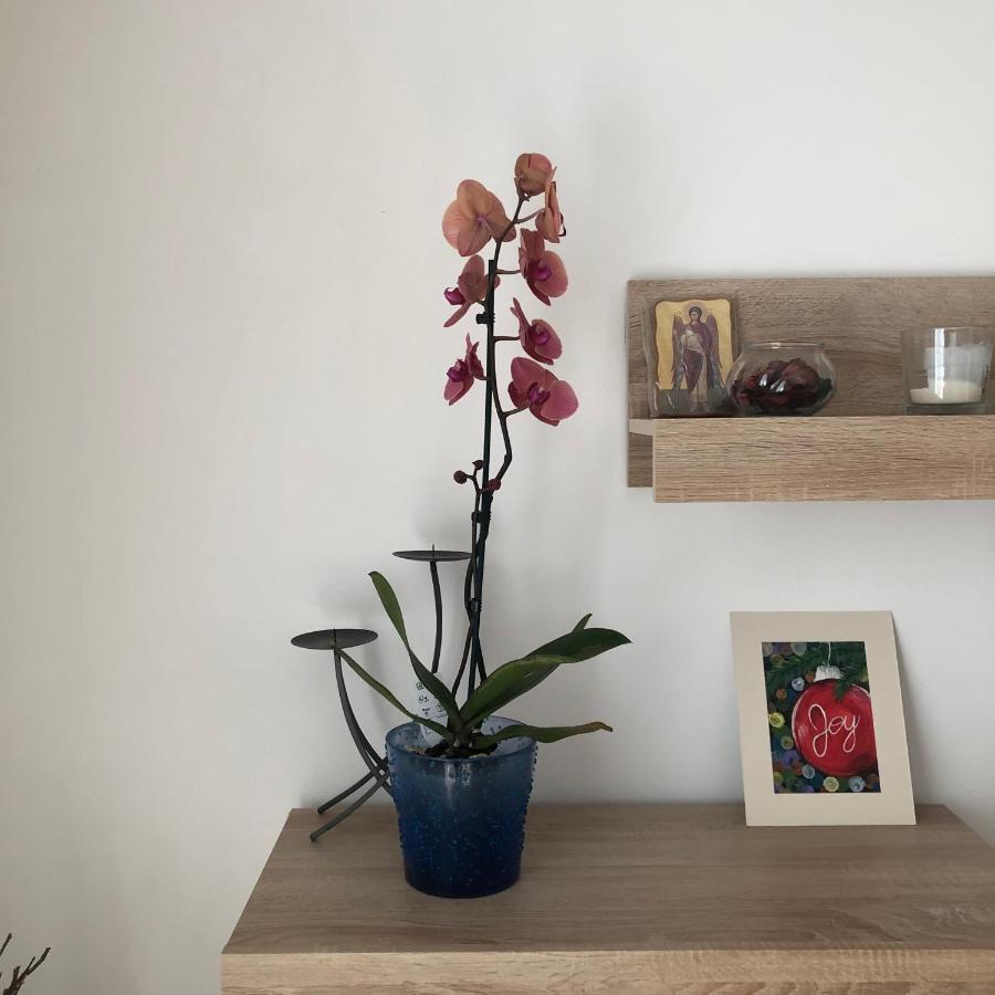 Grig Apartament Apartment บูคาเรสต์ ภายนอก รูปภาพ